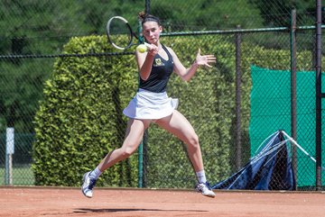 Bild 439 - VfL Westercelle - Rahlstedter HTC : Ergebnis: 2:7